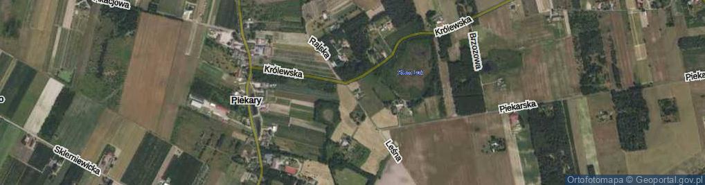 Zdjęcie satelitarne Rajska ul.